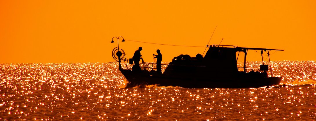 backlit boat